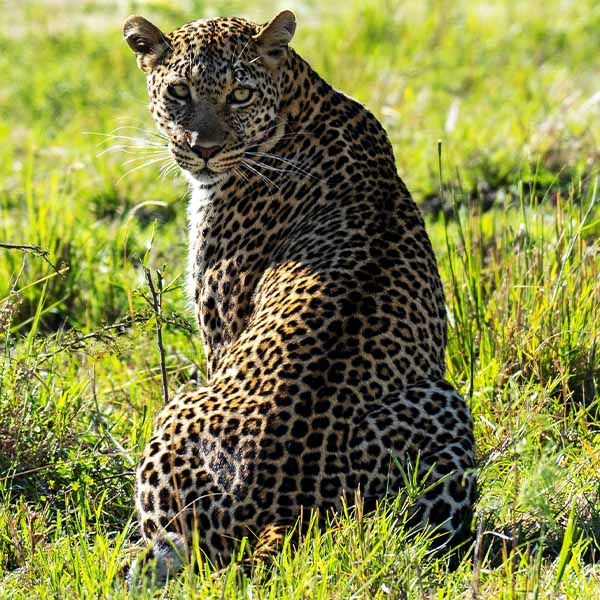 safari, kilimanjaro, culture, zanzibar thumbs_0033_kenya-4647614 (2)