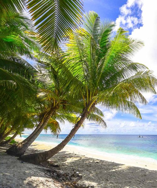 wildlife_0001_beach-1449767