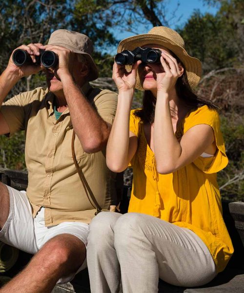 wildlife_0005_couple-looking-through-binoculars