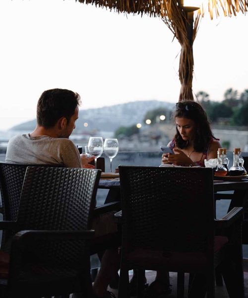 wildlife_0009_dinner-7736494 (1)